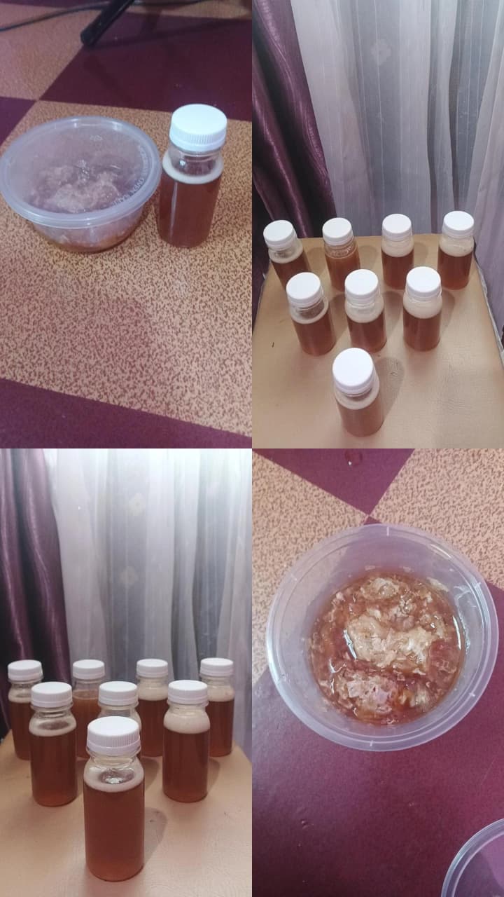 Madu Hutan Asli Buloeh Seuma, Kemurnian Alam Aceh Selatan dengan Khasiat Terpercaya